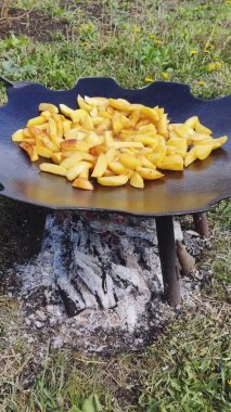 Patatesler tabakta kızarır.