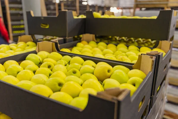 Boxed yellow apples close-up — Zdjęcie stockowe