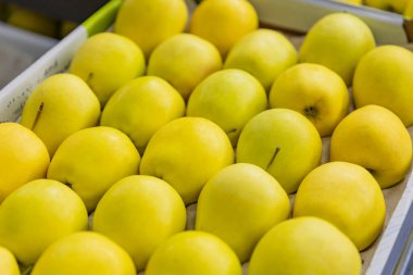 yakın plan sarı elmalar.