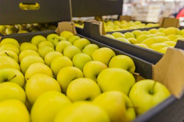 boxed yellow apples close-up