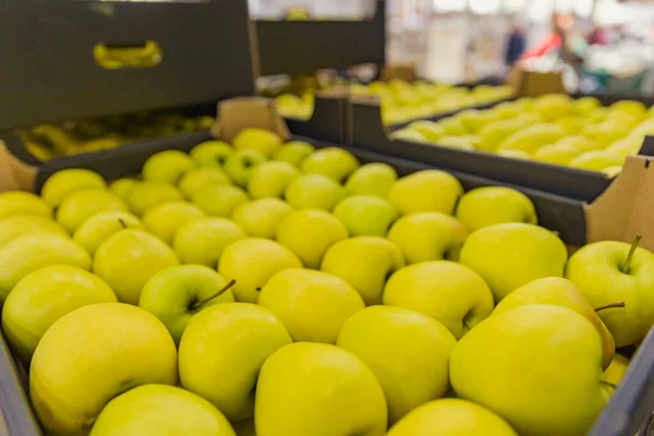Boxed yellow apples close-up — Foto Stock