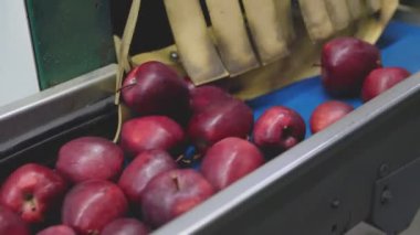 automatic feeding of apples
