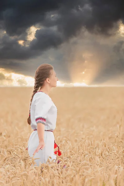 Vyshyvanka 'da buğday tarlasında bir kız — Stok fotoğraf