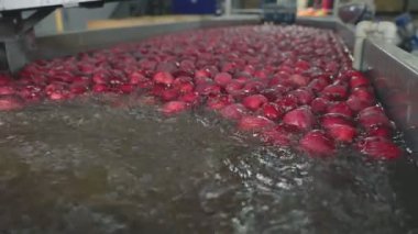 automatic washing of apples in production