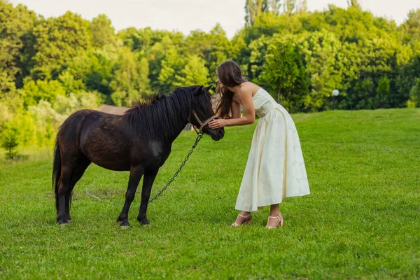 Menina ao lado de pônei — Fotografia de Stock