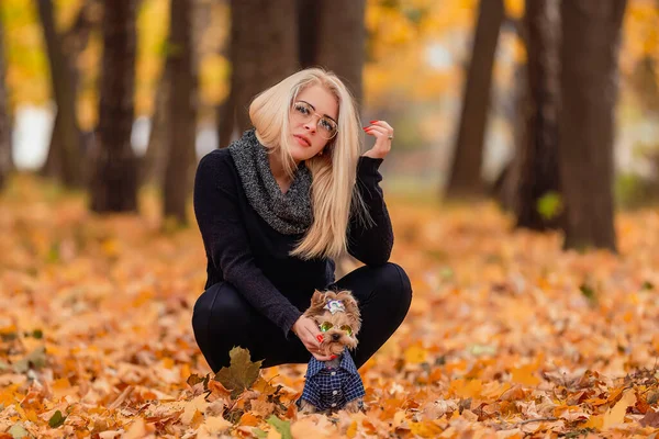 Meisje met hond van de Terriër van yorkshire — Stockfoto