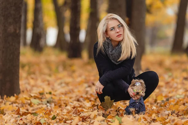 Ragazza con Yorkshire Terrier cane — Foto Stock