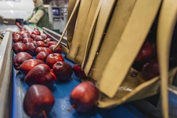 Manzanas en las líneas automáticas de la empresa —  Fotos de Stock