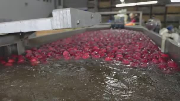 生产中的苹果的自动洗涤 — 图库视频影像