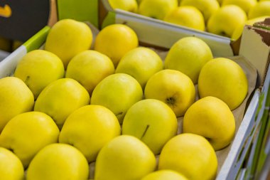 yakın plan sarı elmalar.