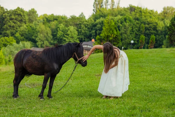 Girl next to pony — 图库照片