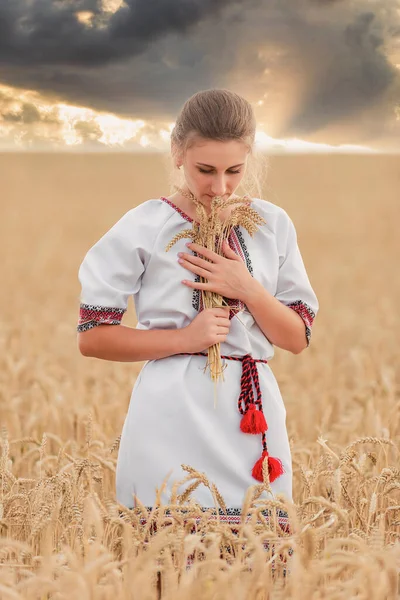 Girl in vyshyvanka in a wheat field — Stockfoto