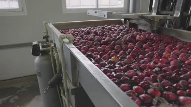 automatic washing of apples in production
