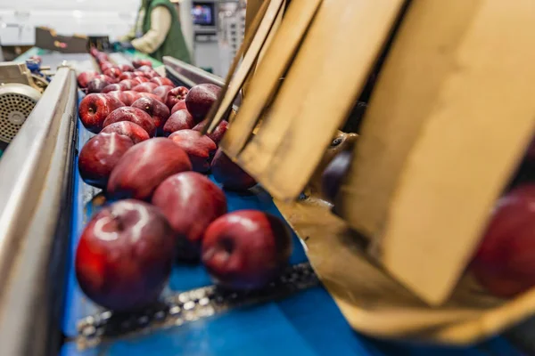 기업의 자동 라인에 있는 사과 — 스톡 사진