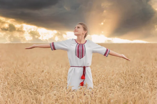 Menina Traje Nacional Ucraniano Fundo Campo Trigo Pôr Sol — Fotografia de Stock