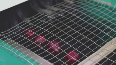 rejection of red apples on an automatic line