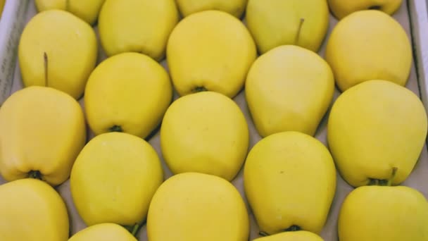 Mnoho Žlutých Jablek Krabicích Detailní Záběr — Stock video