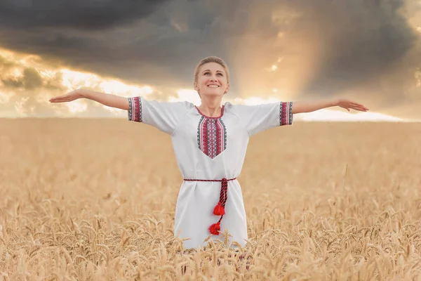 Meisje Oekraïense Nationale Kostuum Achtergrond Van Een Tarweveld Zonsondergang Zon — Stockfoto