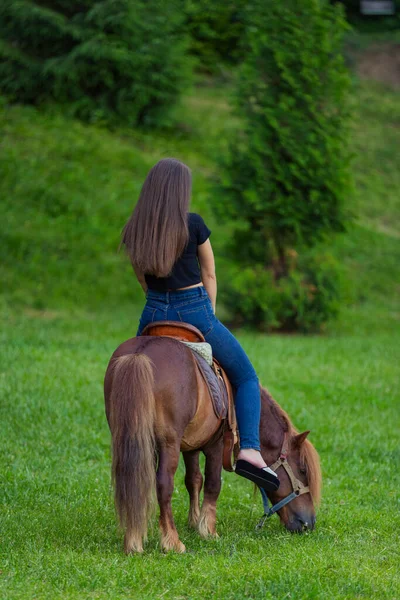 女人骑着小马在草坪上 — 图库照片