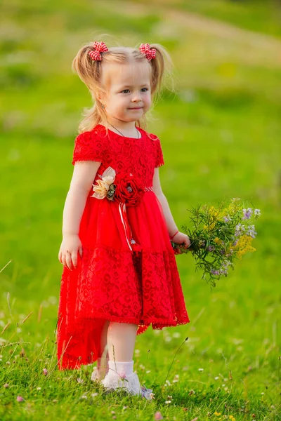 Flicka Röd Klänning Och Med Bukett Vilda Blommor Gräsmattan Stockfoto