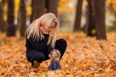 Parkta Yorkshire teriyer köpeği olan kız.