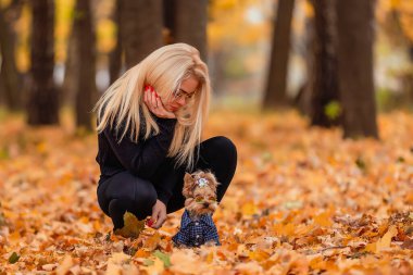 Parkta Yorkshire teriyer köpeği olan kız.