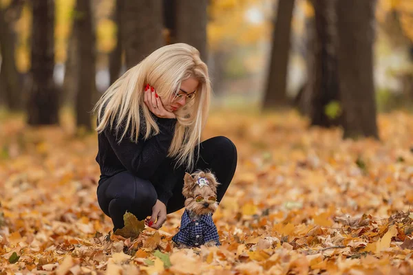 Parkta Yorkshire teriyer köpeği olan kız.