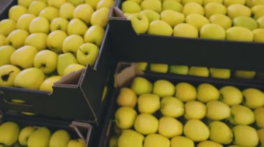 Kutularda bir sürü sarı elma, yakın plan.