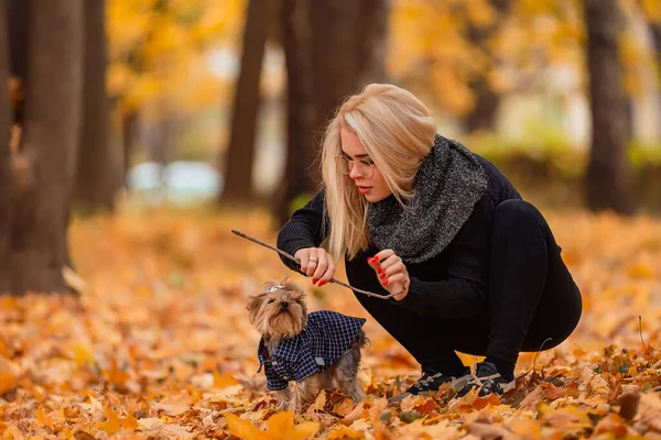 Mädchen Mit Ihrem Yorkshire Terrier Hund Park — Stockfoto