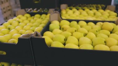 Kutularda bir sürü sarı elma, yakın plan.