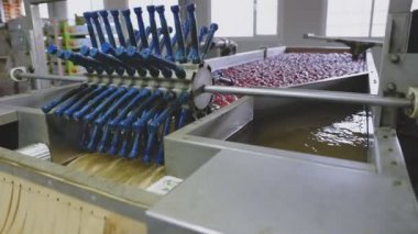 Daha fazla seçim ve satış için elmaların endüstriyel yıkaması