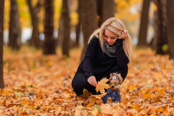 Mädchen Mit Ihrem Yorkshire Terrier Hund Park — Stockfoto