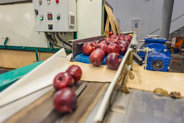 Automatische Bewegung Der Äpfel Der Fabrik — Stockfoto