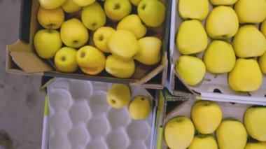 Kutularda bir sürü sarı elma, yakın plan.