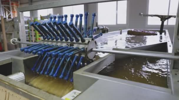 Lavagem Industrial Maçãs Para Posterior Seleção Venda — Vídeo de Stock