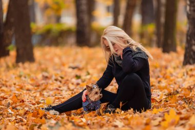 Yorkshire Teriyeri ve metresi sonbahar parkında.