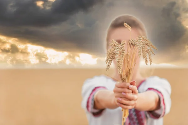 Девушка Пшеницей Руках Фоне Поля Закатного Неба — стоковое фото