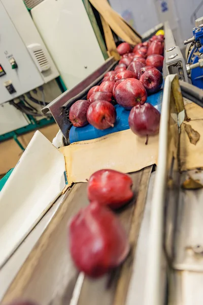 Automatische Bewegung Der Äpfel Der Fabrik — Stockfoto