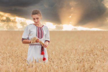 Elinde buğdaylı bir kız bir tarlanın arka planında ve gün batımında gökyüzünde