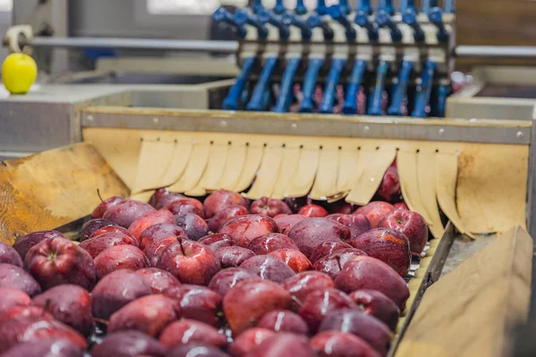 Automatyczny Przepływ Jabłek Fabryce — Zdjęcie stockowe
