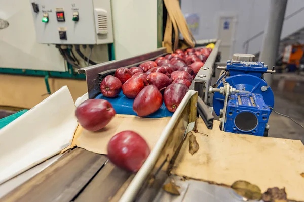 Automatische Bewegung Der Äpfel Der Fabrik — Stockfoto