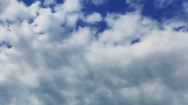 Sky Timelapse Clouds Daytime — Video