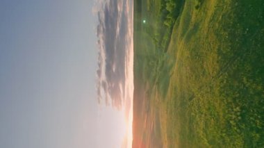 lawn with trees at sunset, shot vertically