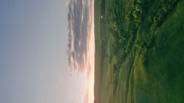 Kuşların gözünden gün batımına karşı ağaçların ve çimenlerin dikey çekimi