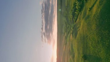 Kuşların gözünden gün batımına karşı ağaçların ve çimenlerin dikey çekimi