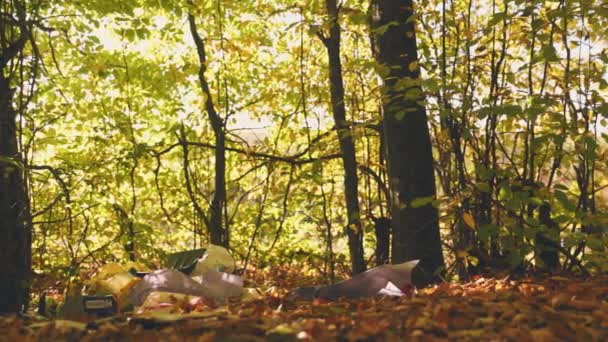 Παράνομα Σκουπίδια Στο Δάσος Του Φθινοπώρου — Αρχείο Βίντεο
