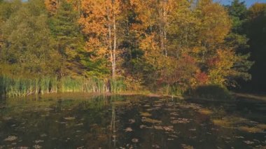 Sonbahar ormanının yakınında bir helikopterden alınan su kütlesi.