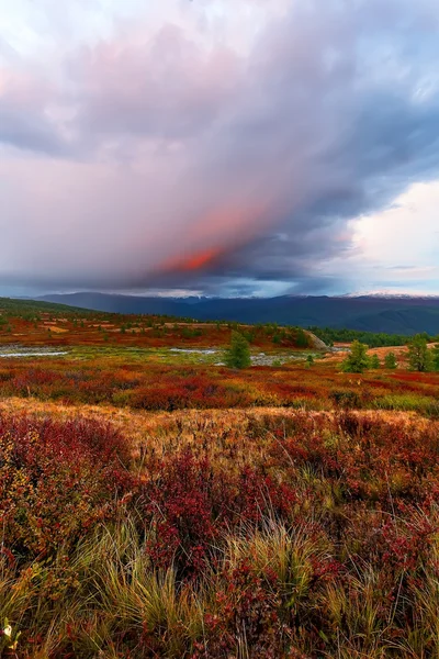 Wolken Tundra Abend — Stockfoto