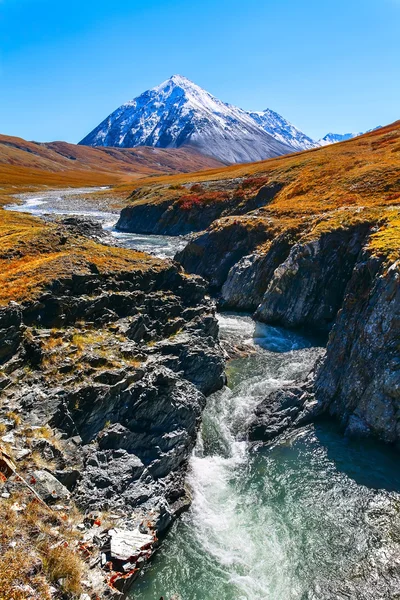 Ледник горной реки — стоковое фото