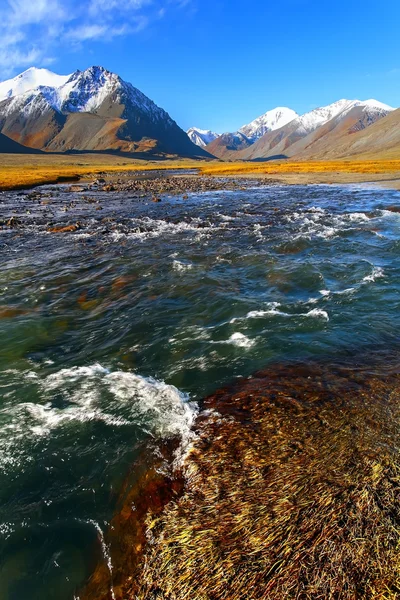 Rivier berg gletscher — Stockfoto